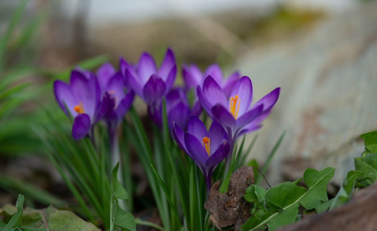 IMG-1d5c1e5503b64f957fb4b1493326cda2-V