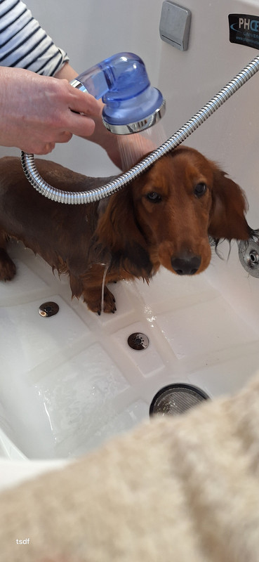 [Image: 20250305-154911.jpg]