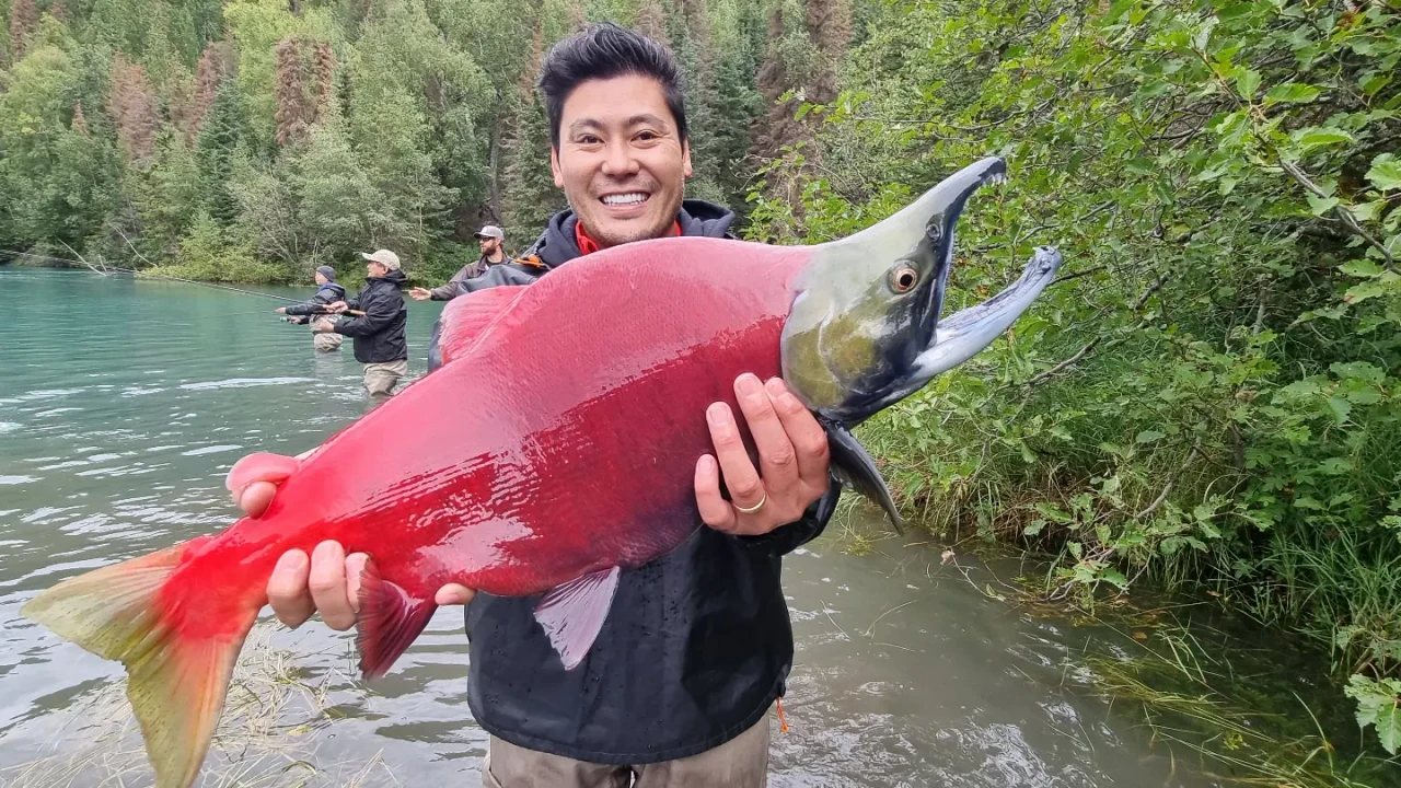 Sockeye Salmon