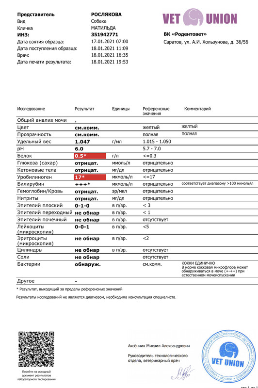 FB71EA63-0C95-4C9B-A583-60DAE2386444