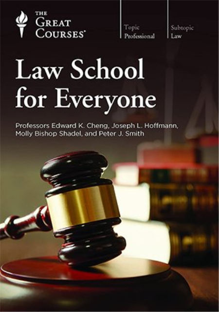 Law School for Everyone: Litigation, Criminal Law, Civil Procedure, and Torts