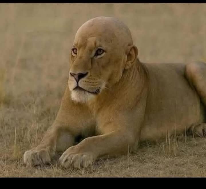 Whats-App-Image-2025-05-03-at-7-18-10-PM