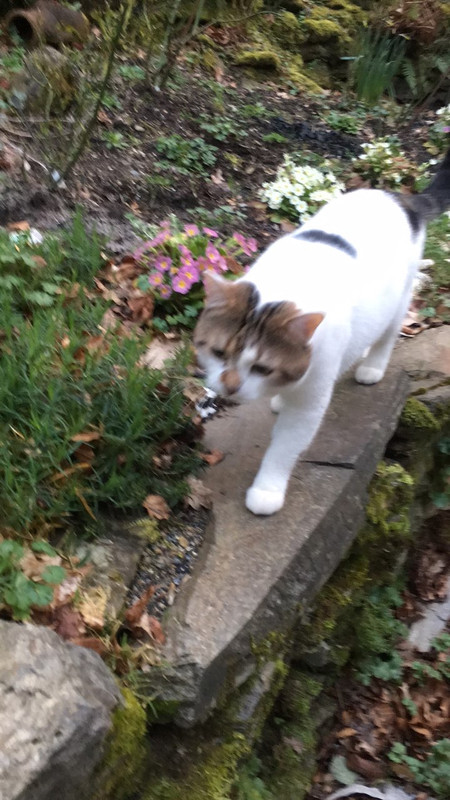 4D34AF32-B974-48BF-AF85-158EC62D74FD