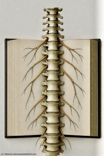 Illustration of a vertebra forming the spine of an open book, symbolizing the structure of a story.
