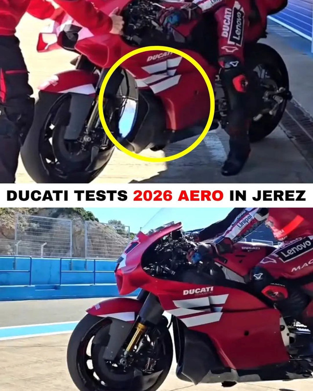 Whats-App-Image-2026-03-12-at-11-07-01.j