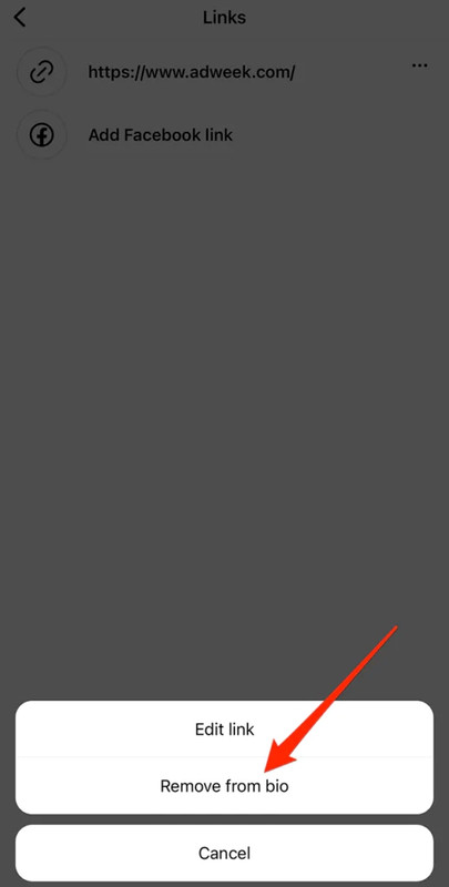 Instagram: cómo eliminar un enlace de sitio web de su perfil