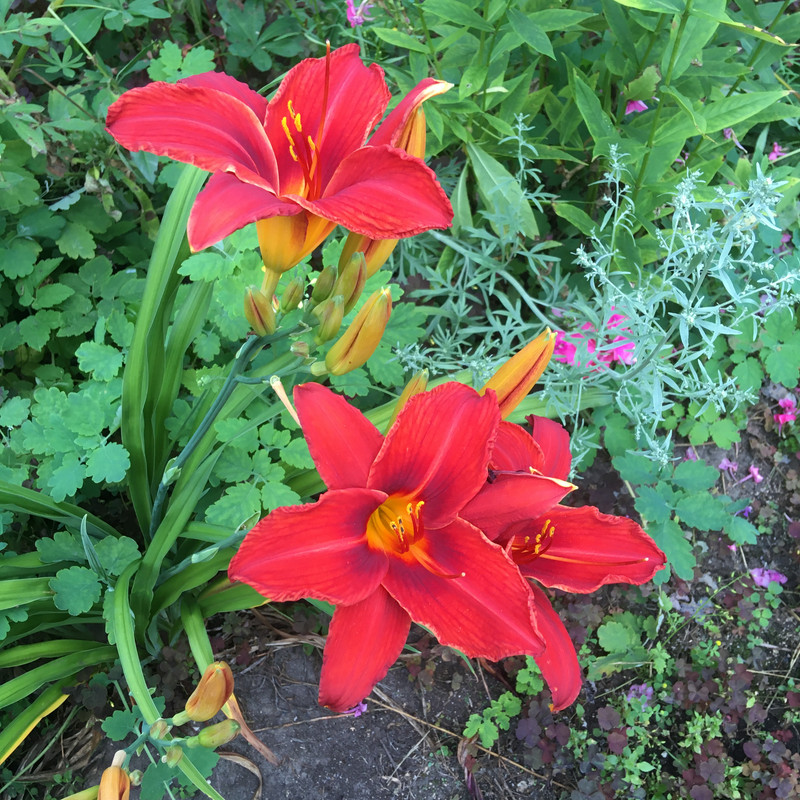 дачное и по ремонту недоделки 118