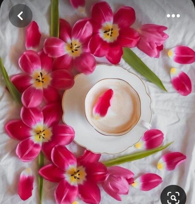 Screenshot_20230717_220034_Pinterest