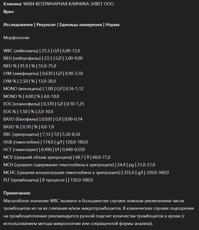 IMG-20240904-WA0033