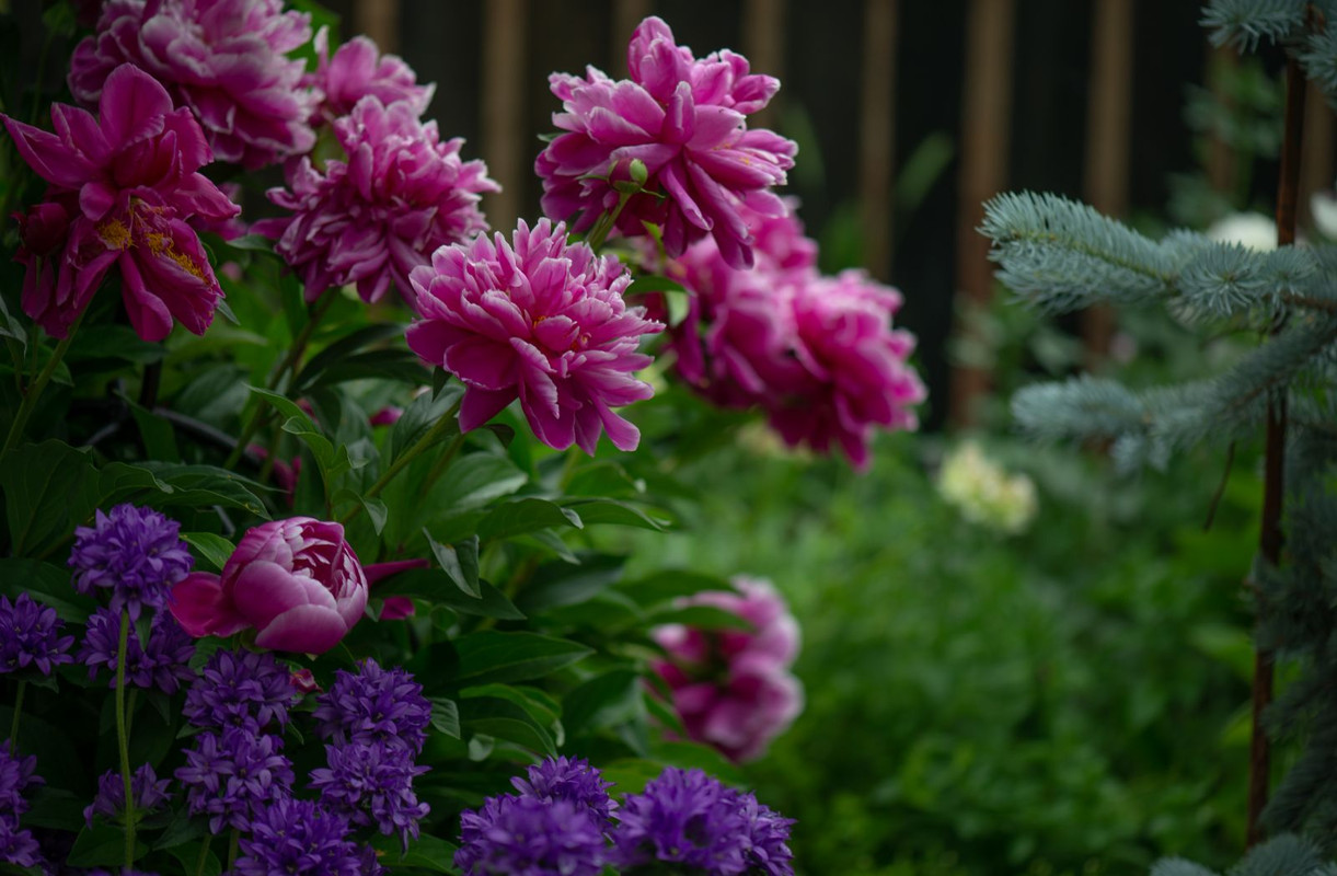 IMG-19ecd79f660919f92d0a0b16e64192e4-V