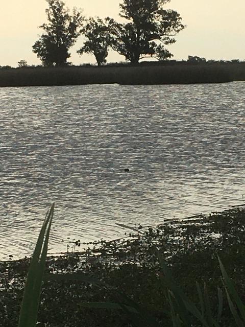 7B448D65-1306-44B5-8A26-29F2821C3E78