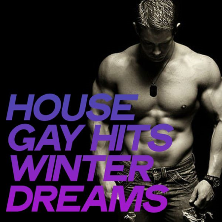 Various Artists - House Gay Hits Winter Dreams (2020)