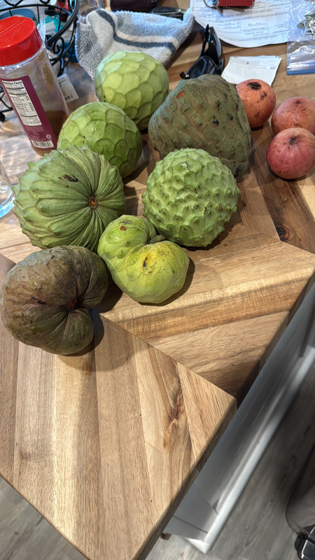 C52E9564 828E 42AE 9009 8B62ECA4E964