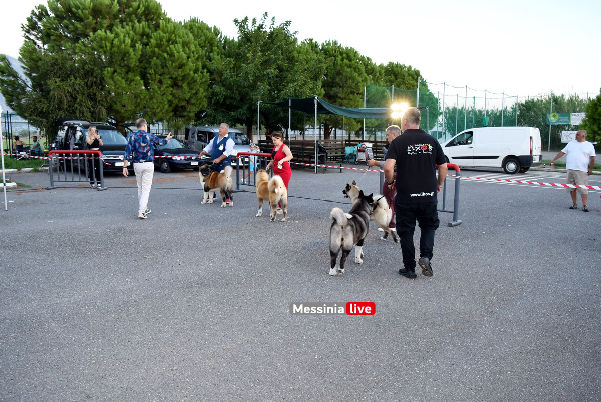 παρκο σκυλιαDSC_0964