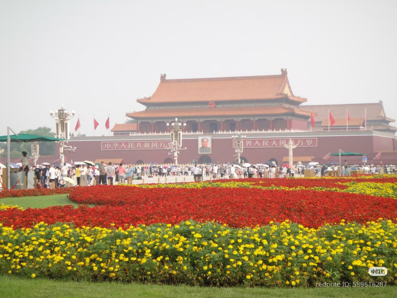 photo 12 2025 12 14 22 29 25