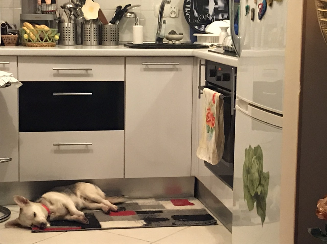 DFD5C4F0-181D-469C-960A-EAB9DDF7CA17