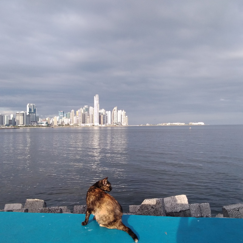 Зимовка в Центральной Америке-2024, семь стран за два месяца - не съесть, но надкусить.