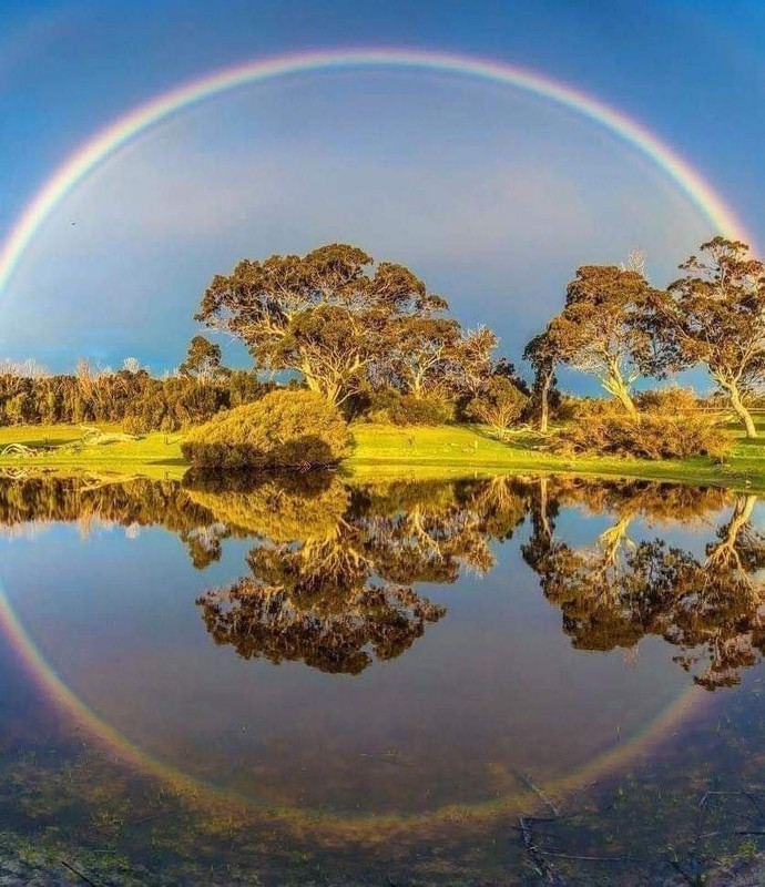 [Image: 128401491-867104370703429-5965842545221907462-o.jpg]