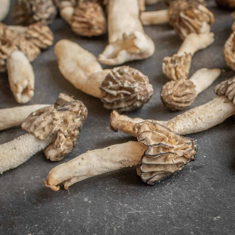 half free morels 3
