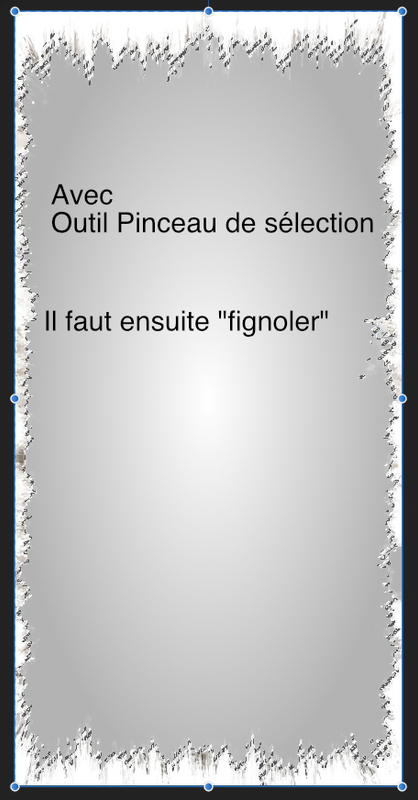 Capture d’écran 2020-12-17 à 12.51.18