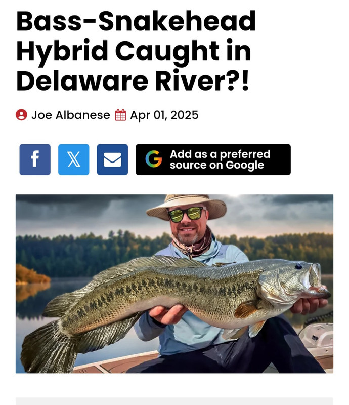 Screenshot 20260216 183337 Chrome