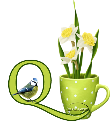 Taza con narcisos Q