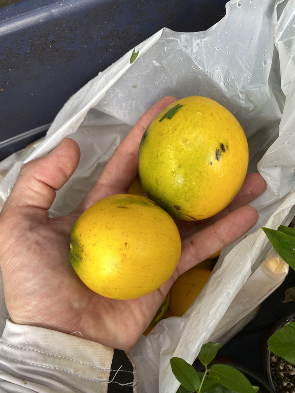 FAE4E970-8D91-4AAB-A845-4E309B6A6B2A