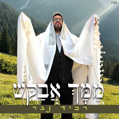 תמונה