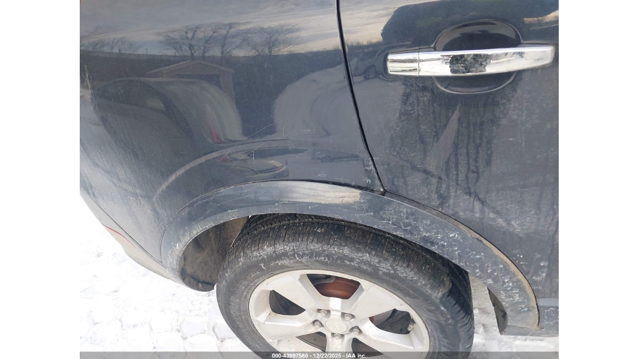 Без названия (5)