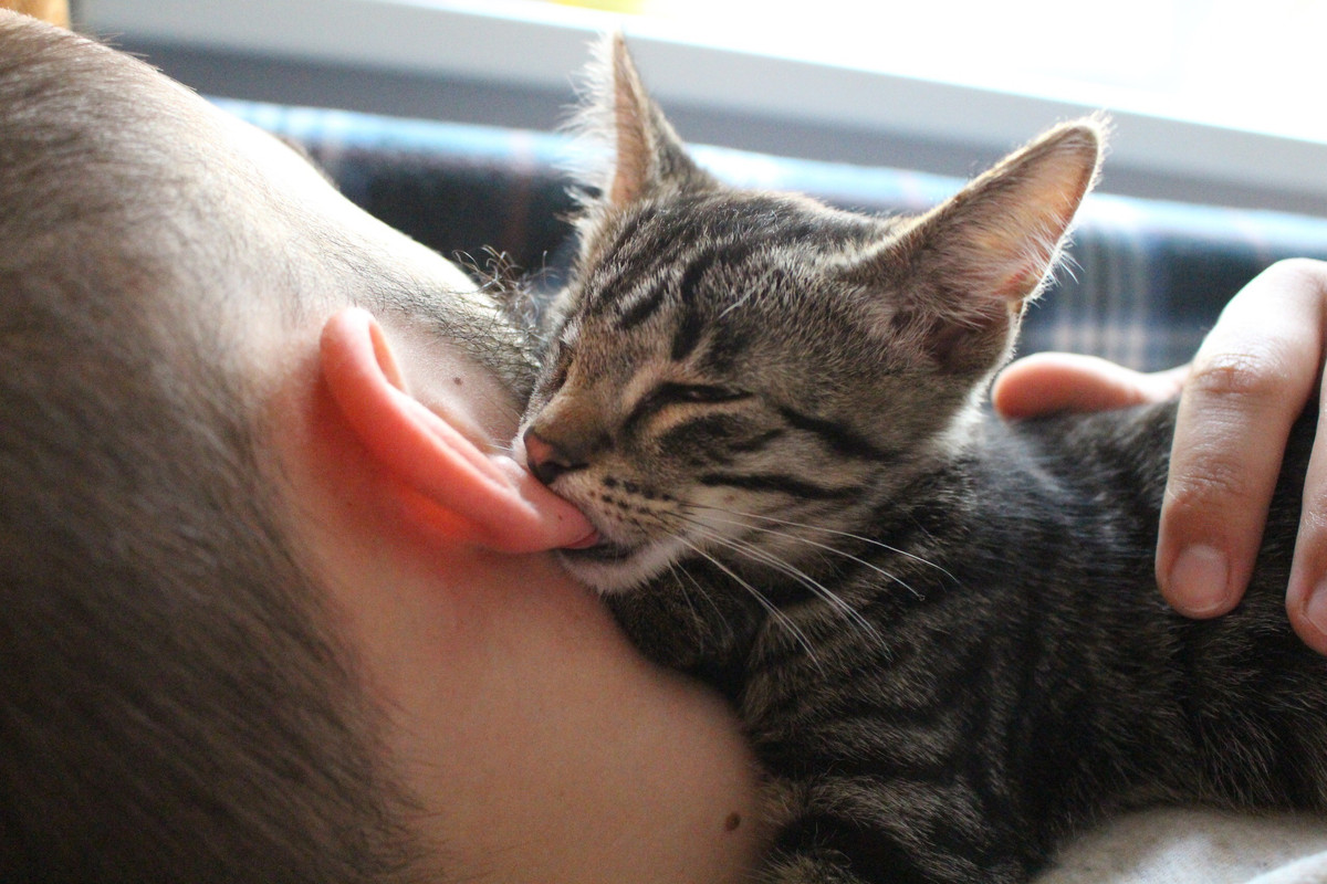 EA03A37A-0438-4B61-ADCD-6C9F1F36C814