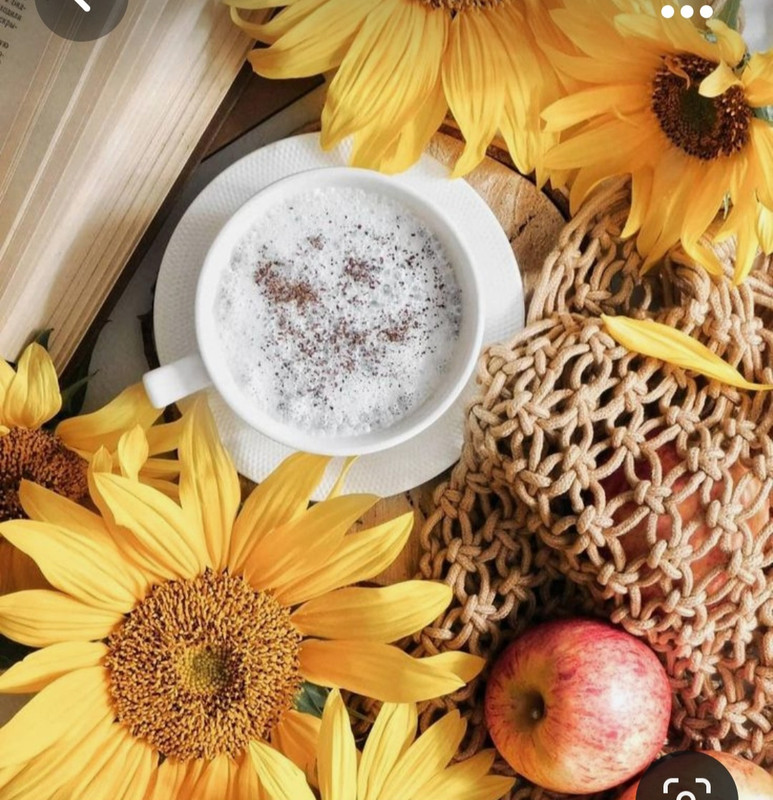 Screenshot_20231008_213257_Pinterest