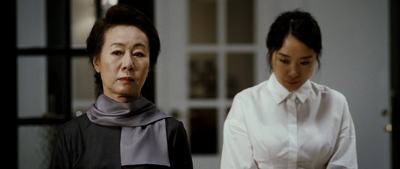 The Housemaid (2010) BluRay Hindi + Kor 1080p 8bit x264 AVC AAC 5.1 ESub screenshot