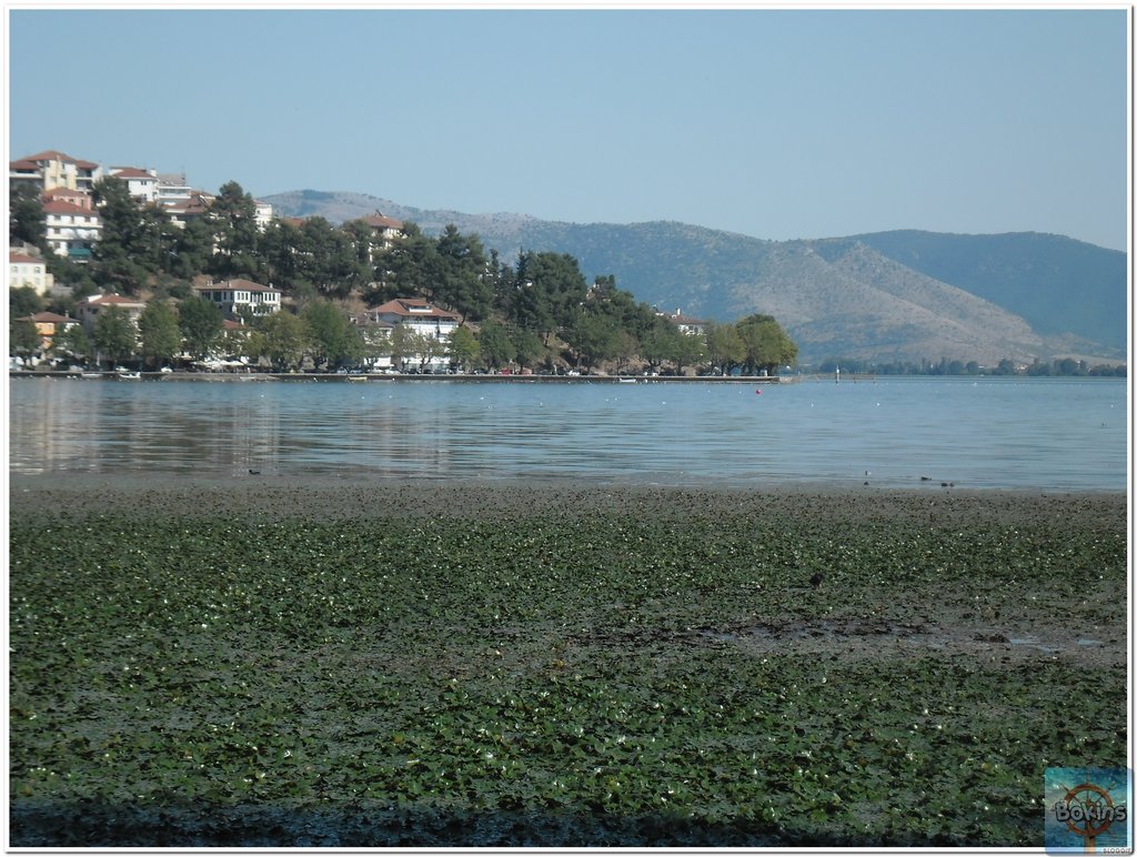 Slika