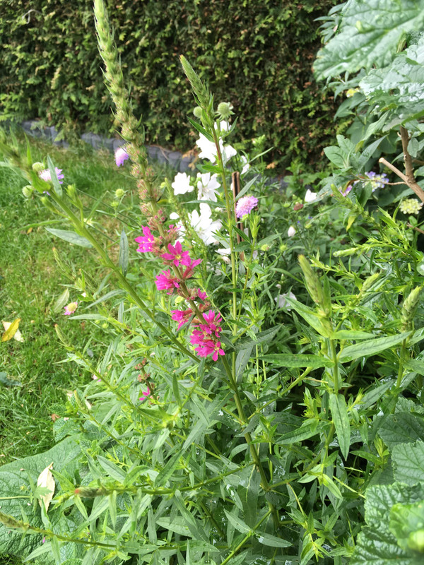 D1A090DB-EEF0-401B-97C2-E7669DB2BBE3