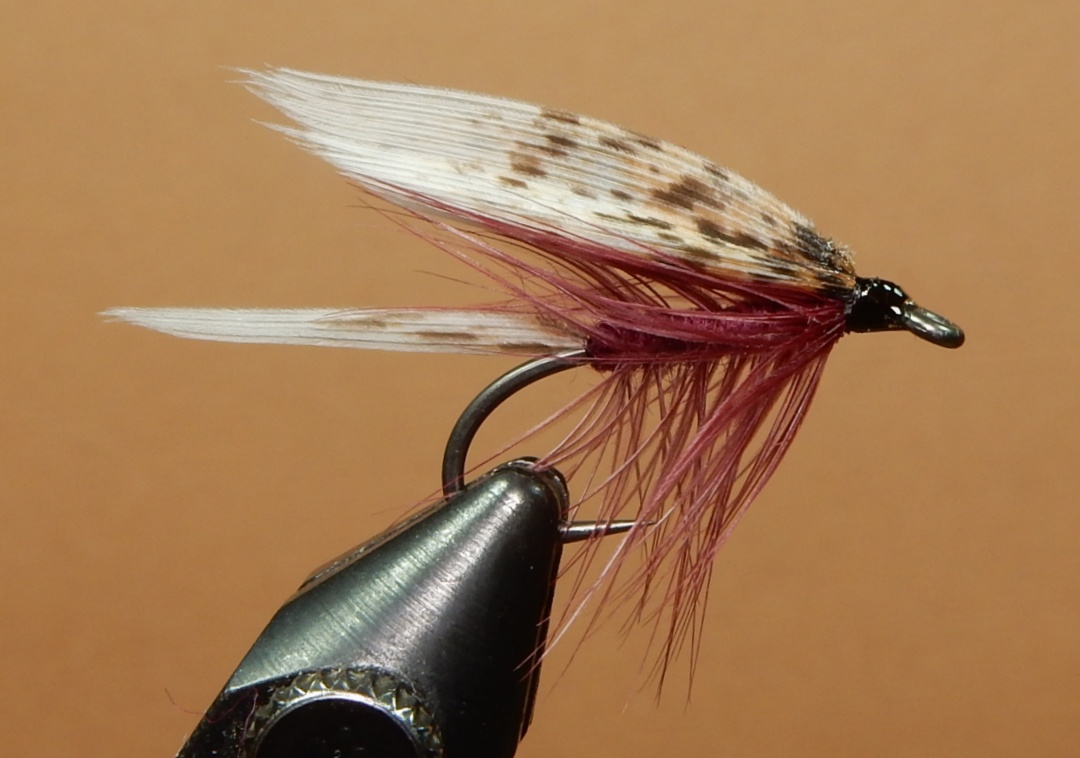 Caughlan-1080.jpg