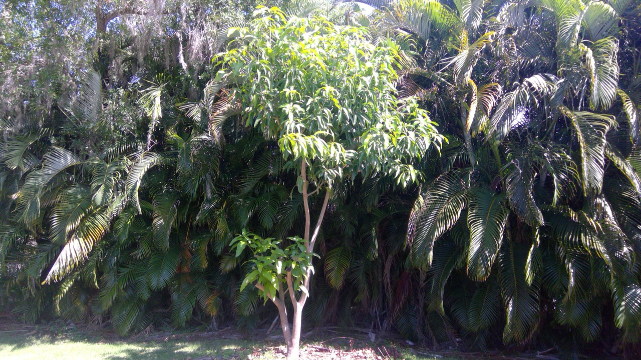 WIN_20200509_10_45_29_Pro