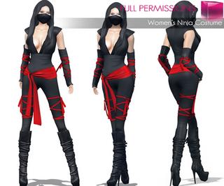 AD_Womens_Ninja_Costume