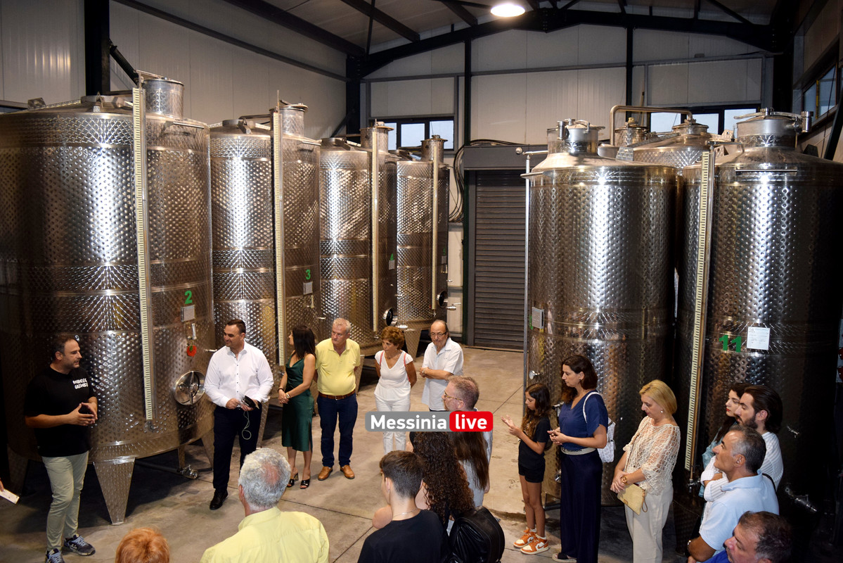 psaroulis 10DSC_1511