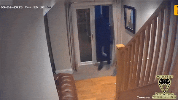 https://i.postimg.cc/4xMYh1yN/ezgif-4-cbb721198cf1.gif