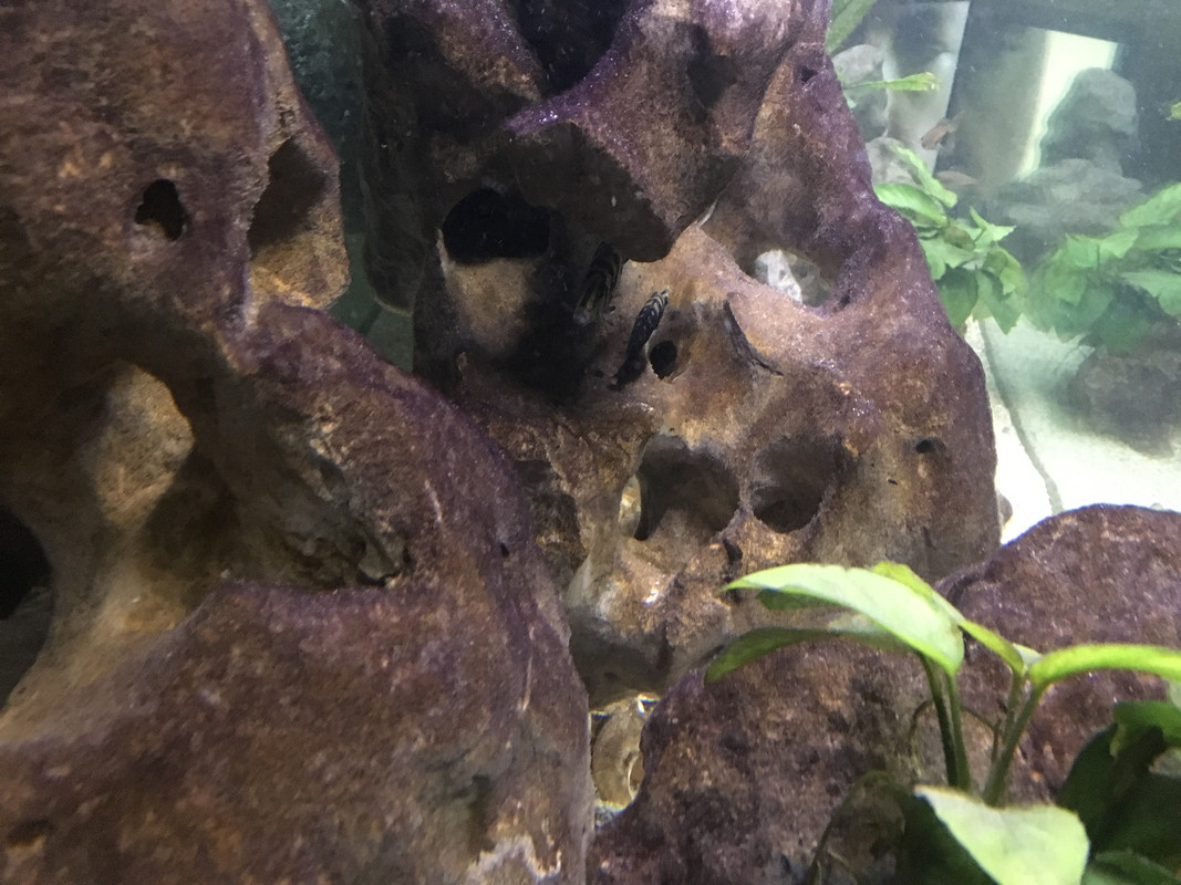 092A4D9B-6AF4-4EFD-84AD-51021DAC56C1