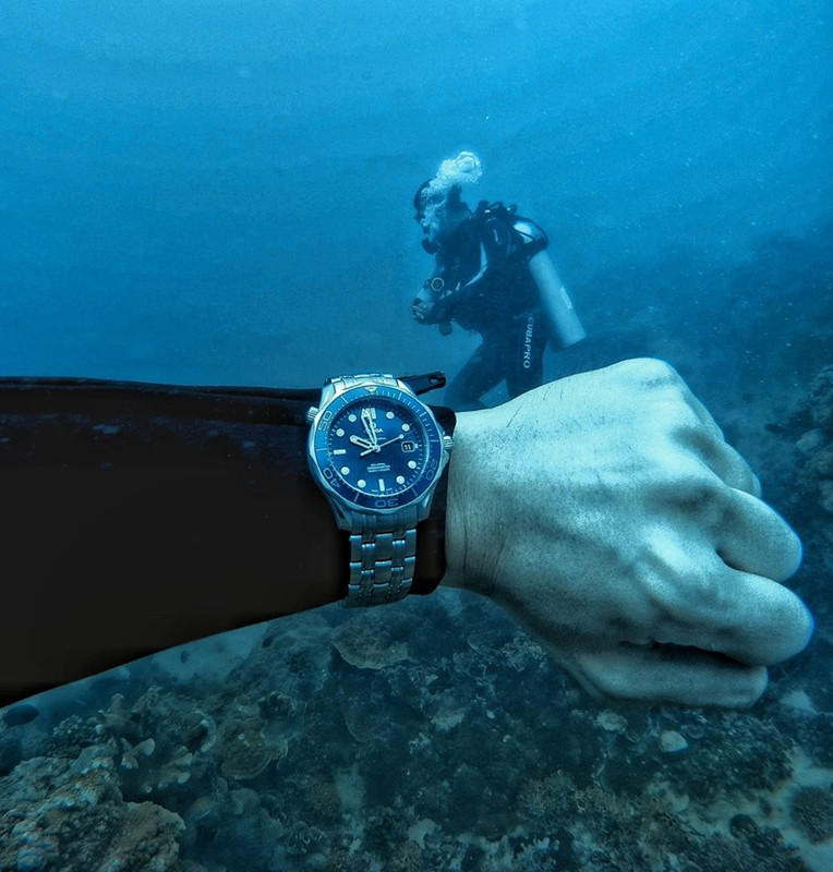 35223556_10214983640932062_1059414483115442176_n