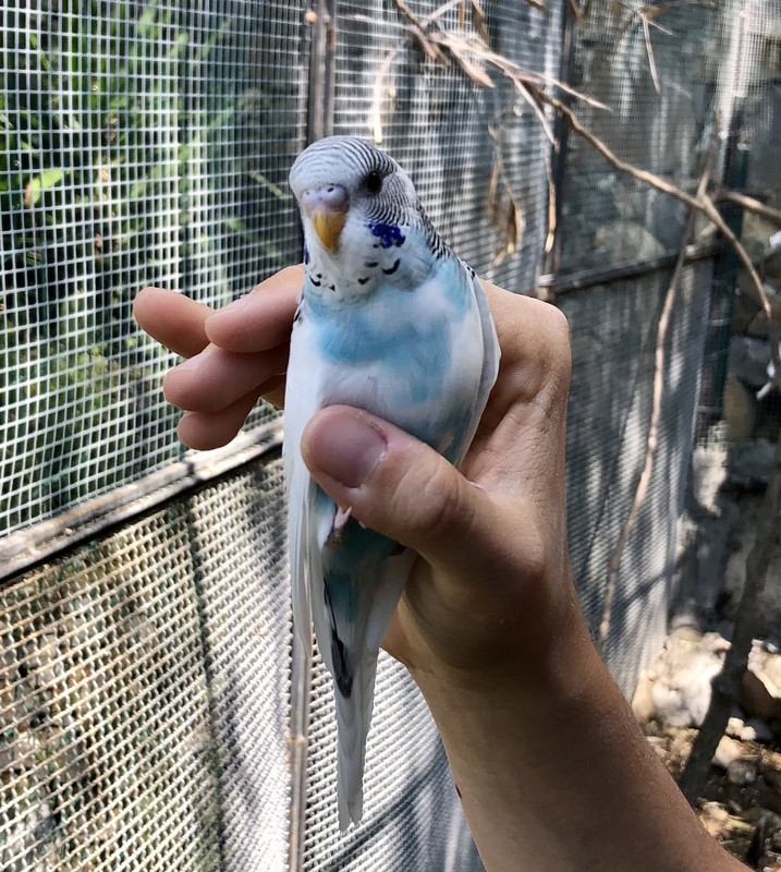 95300889-D49F-4060-8B4E-EE06C29FD5E0