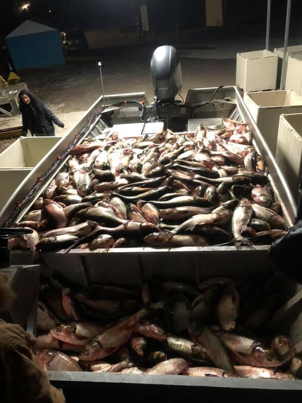 28094C1D-A236-42C1-B418-927DDD2B094C