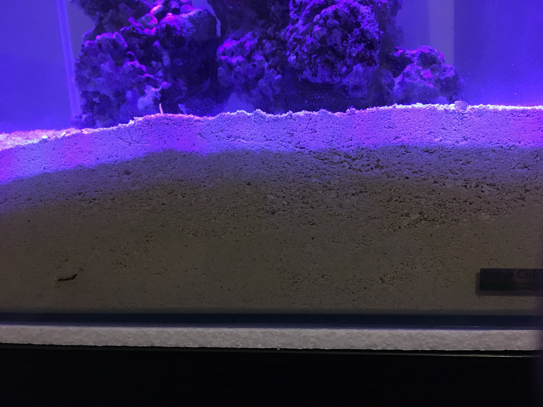 416AE2B1-8CFE-4F5E-A09C-22D1FA1CC997