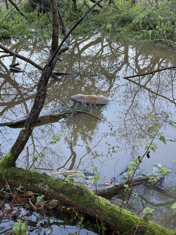 59D51860-E0DF-4385-9187-61C34D41F62F