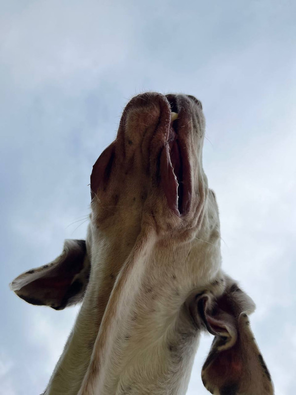 76D86C09-0121-4A3C-8EF9-D03D9D6BC50D