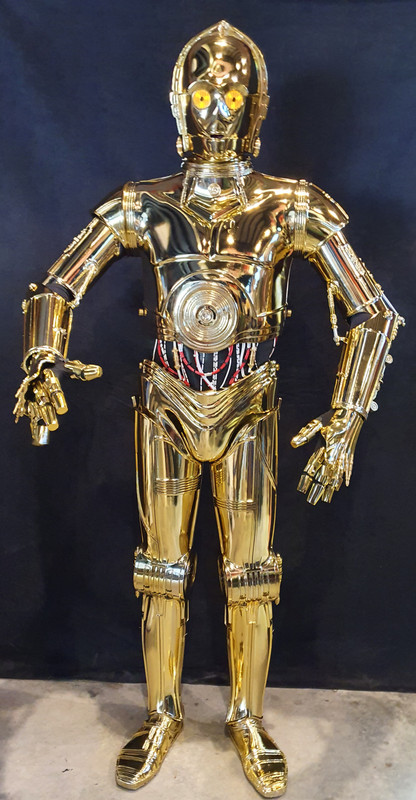 C-3PO_ Hennequez Fred_action shot_profile image
