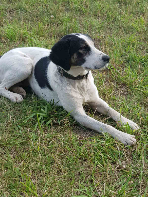 IMG-e148b64c81c52c735c65651a01cb4a10-V