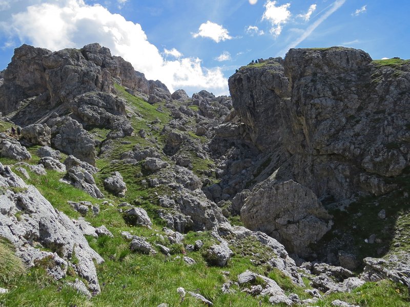 https://i.postimg.cc/4xPjJCkf/190-IMG-1230.jpg