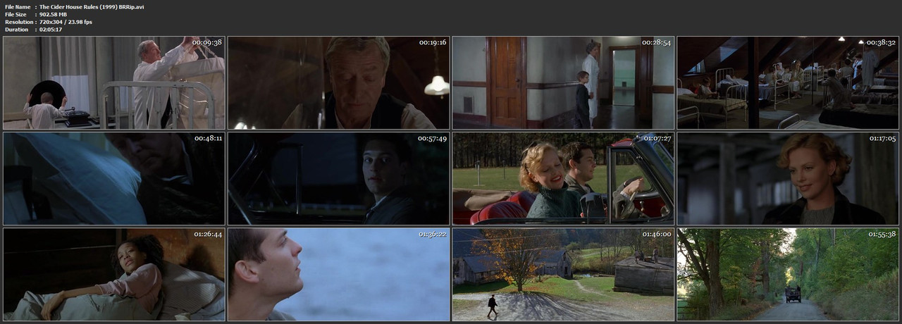 The Cider House Rules (1999) BRRip.avi